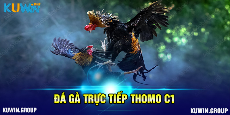 da-ga-truc-tiep-c1