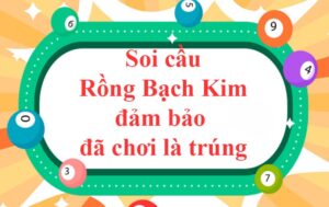 soi-cau-rong-bach-kim-288