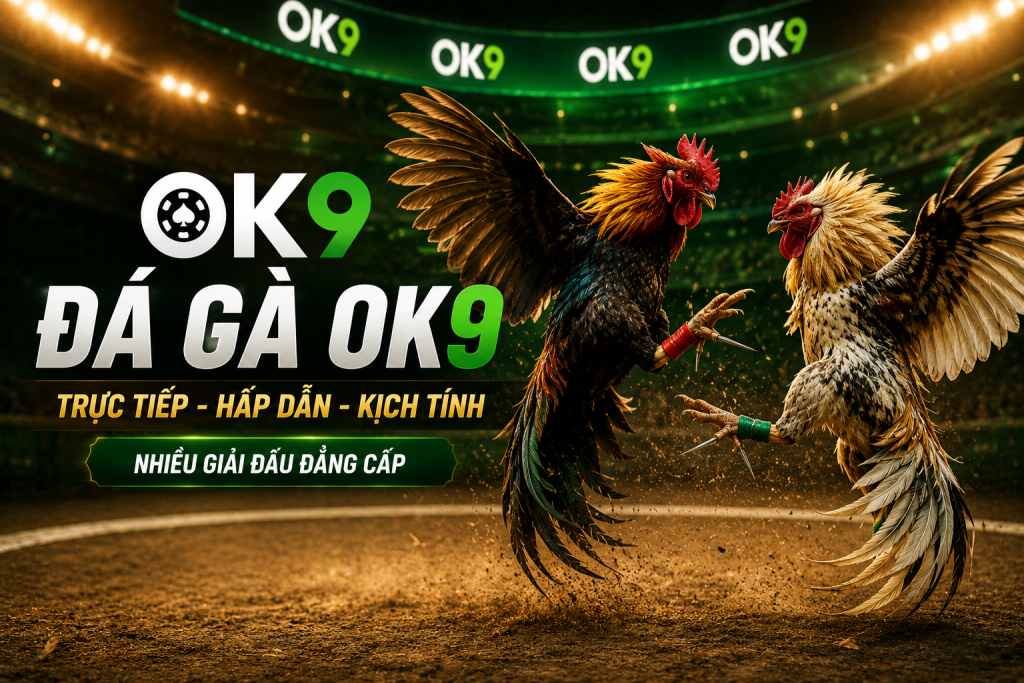 Đá Gà OK9 với hai chiến kê đối đầu trong đấu trường hiện đại, logo OK9 nổi bật